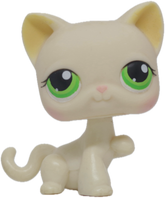 #0098 Paw Up Cat